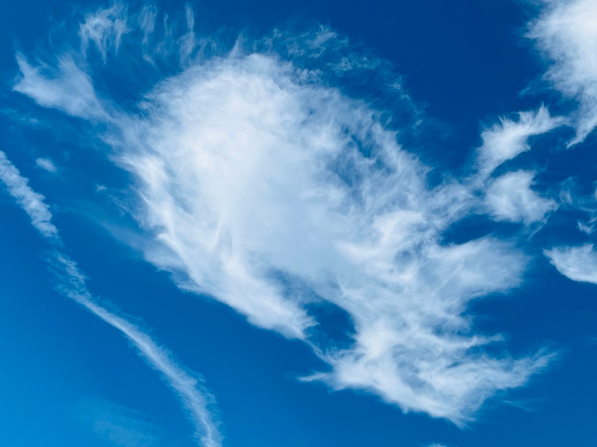 “Fear thou not; for I am with thee: be not dismayed; for I am thy God: I will strengthen thee; yea, I will help thee; yea, I will uphold thee with the right hand of my&nbsp;righteousness.”